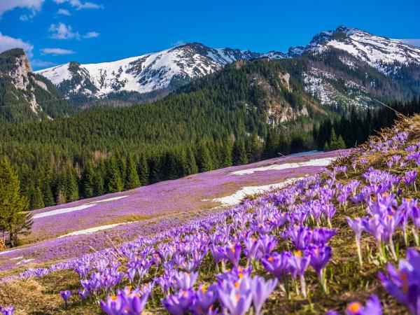 Tatra Mountains walking holiday, self guided