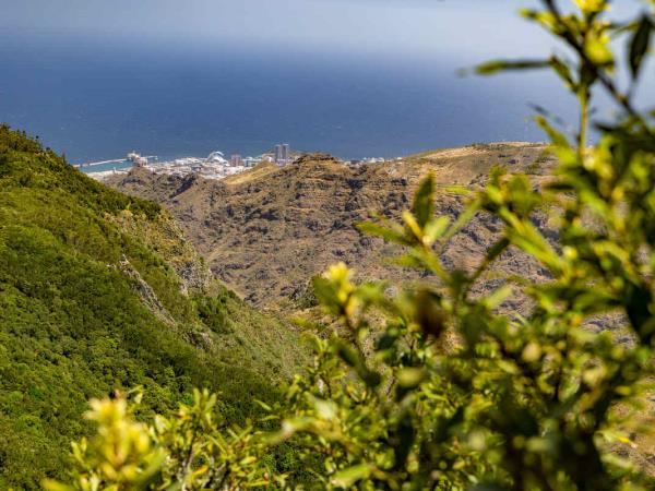 Canary islands walking holiday, 10 days 