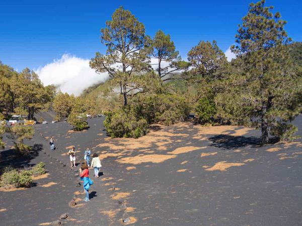 Canary Islands cultural & walking tour