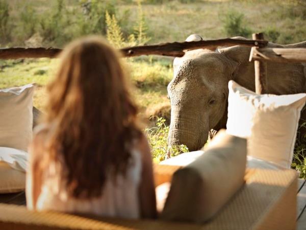 Luangwa and Luambe safari, Zambia