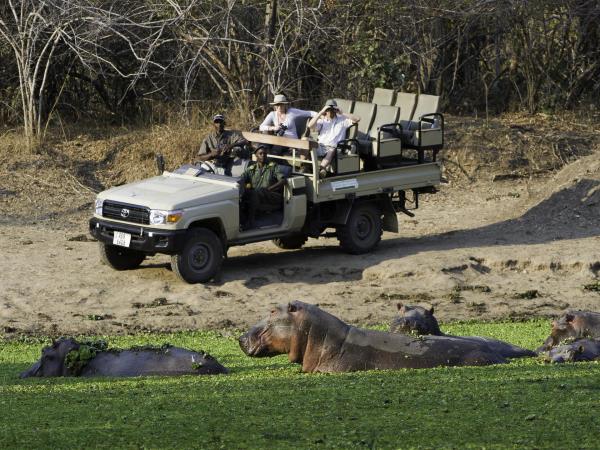 Luangwa and Luambe safari, Zambia