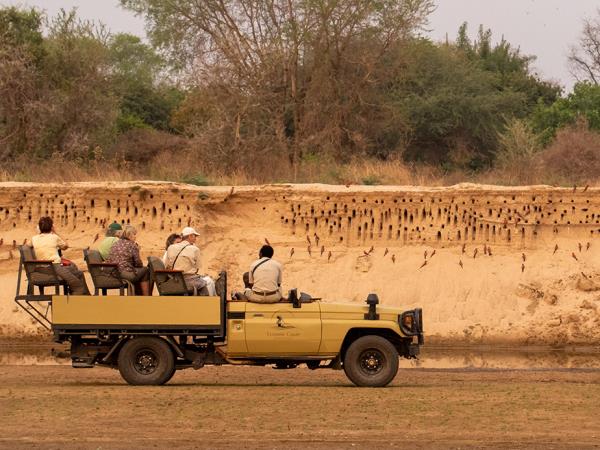 Luangwa and Luambe safari, Zambia