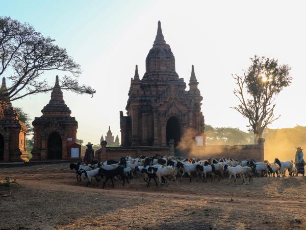 Bagan hot air balloons and Yangan tour in Myanmar