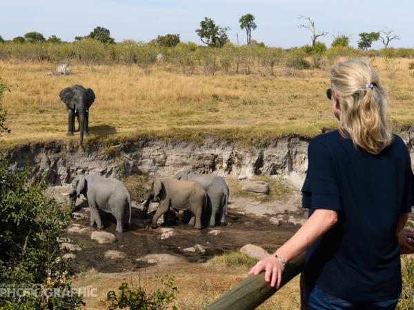 Hwange safari in Zimbabwe, tailor made