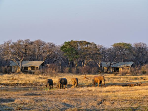 Hwange safari in Zimbabwe, tailor made