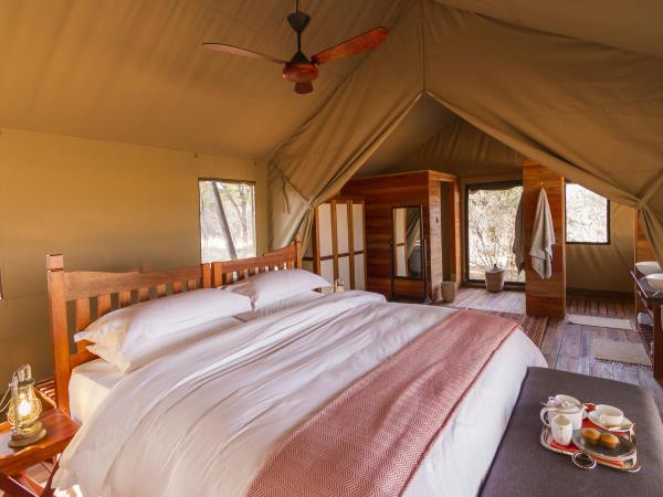 Hwange safari in Zimbabwe, tailor made