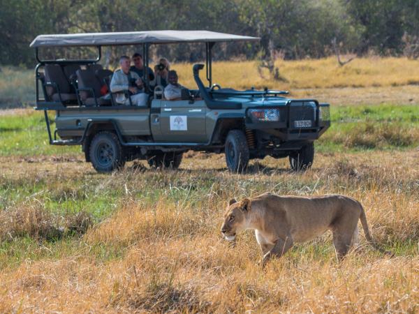 Hwange safari in Zimbabwe, tailor made