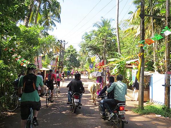 Small group cycling holiday in Kerala, India | Responsible Travel