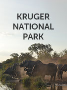 Kruger National Park