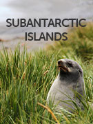 Sub Antarctic Islands