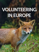 Volunteering in Europe holidays Volunteering in Europe holidays