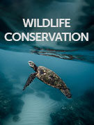Wildlife conservation holidays Wildlife conservation holidays